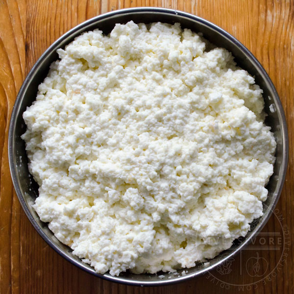 Homemade ricotta cheese in a small strainer