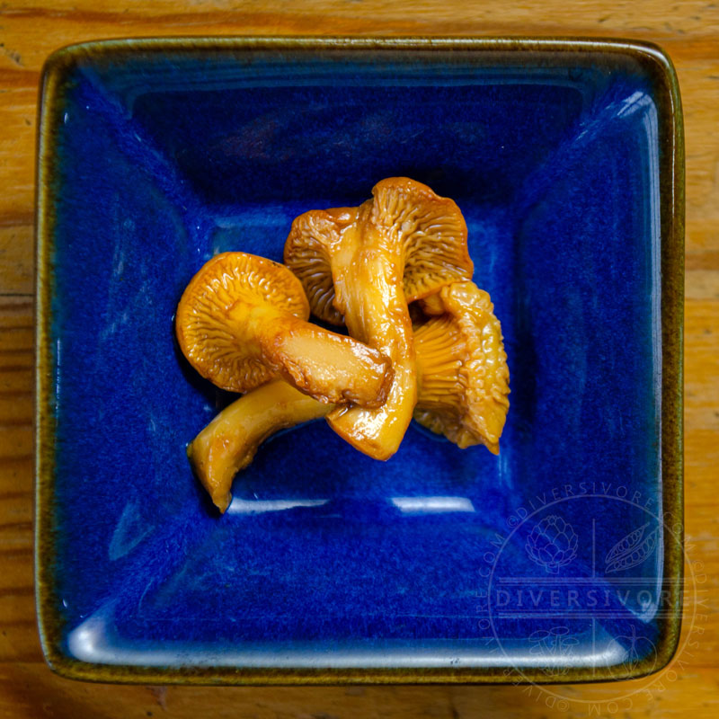 Three small pickled chanterelle mushrooms in a blue dish