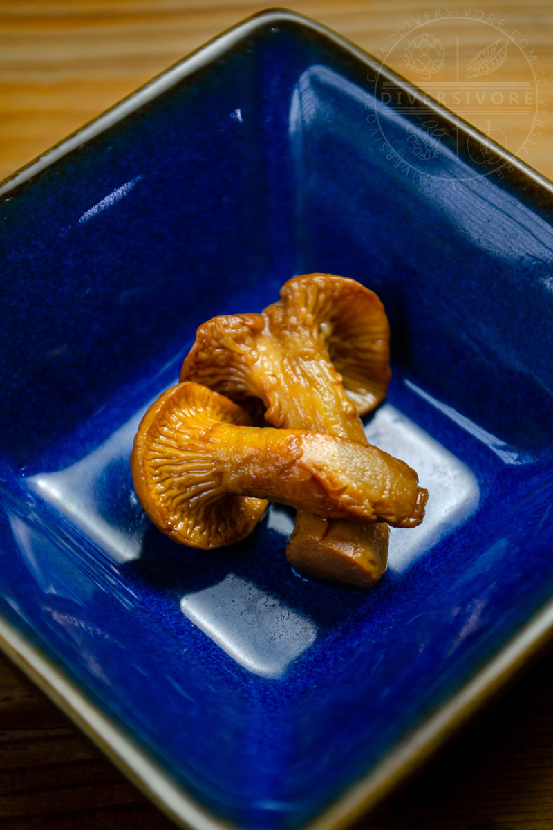 Two small pickled chanterelle mushrooms in a blue dish