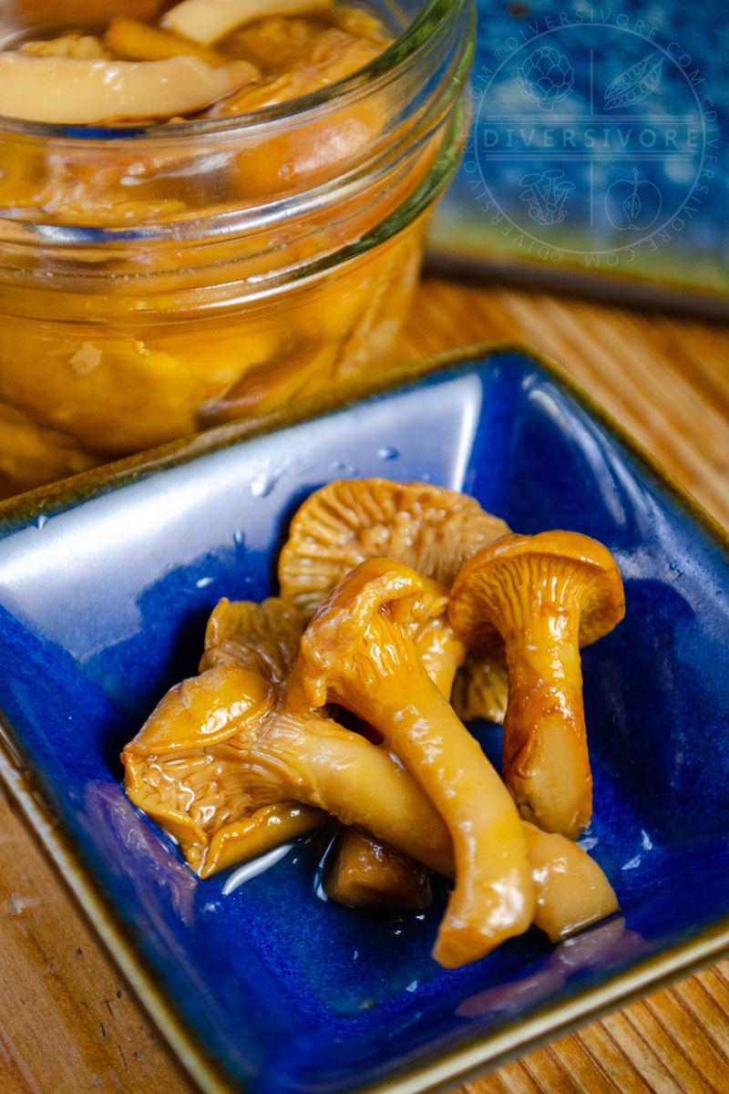 Pickled chanterelle mushrooms in a blue dish and a mason jar
