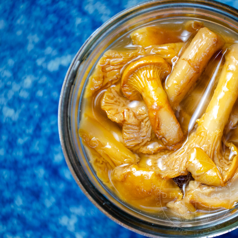 Pickled chanterelle mushrooms in a mason jar